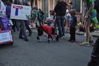 2016-Mystic-Krewe-of-Barkus-005199