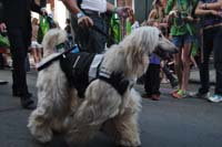 2016-Mystic-Krewe-of-Barkus-005248