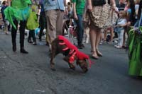 2016-Mystic-Krewe-of-Barkus-005264