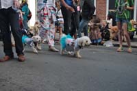 2016-Mystic-Krewe-of-Barkus-005265