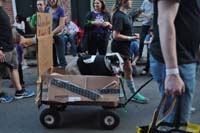 2016-Mystic-Krewe-of-Barkus-005275