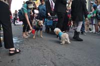 2016-Mystic-Krewe-of-Barkus-005283