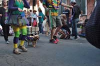 2016-Mystic-Krewe-of-Barkus-005286