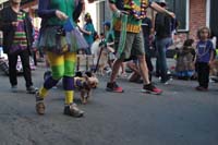 2016-Mystic-Krewe-of-Barkus-005287