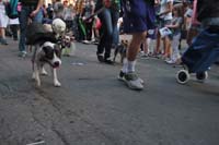 2016-Mystic-Krewe-of-Barkus-005294