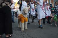 2016-Mystic-Krewe-of-Barkus-005298