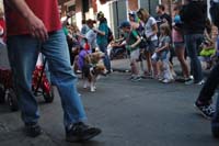 2016-Mystic-Krewe-of-Barkus-005300