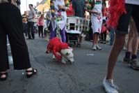 2016-Mystic-Krewe-of-Barkus-005302