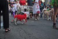 2016-Mystic-Krewe-of-Barkus-005303