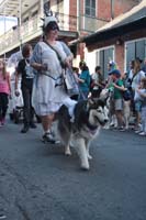 2016-Mystic-Krewe-of-Barkus-005308