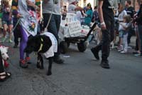 2016-Mystic-Krewe-of-Barkus-005310