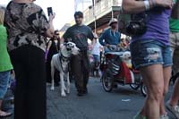 2016-Mystic-Krewe-of-Barkus-005315