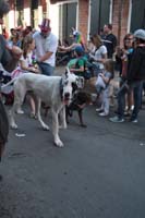 2016-Mystic-Krewe-of-Barkus-005319