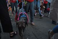 2016-Mystic-Krewe-of-Barkus-005332