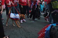 2016-Mystic-Krewe-of-Barkus-005333