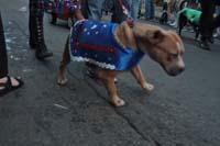 2016-Mystic-Krewe-of-Barkus-005343