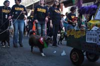 2016-Mystic-Krewe-of-Barkus-005350