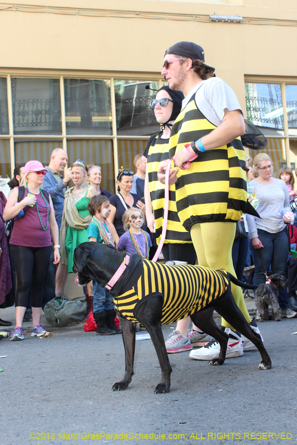 2016-Mystic-Krewe-of-Barkus-hc005460