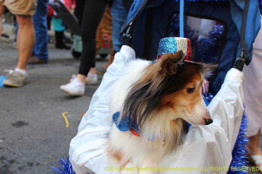 2016-Mystic-Krewe-of-Barkus-hc005468