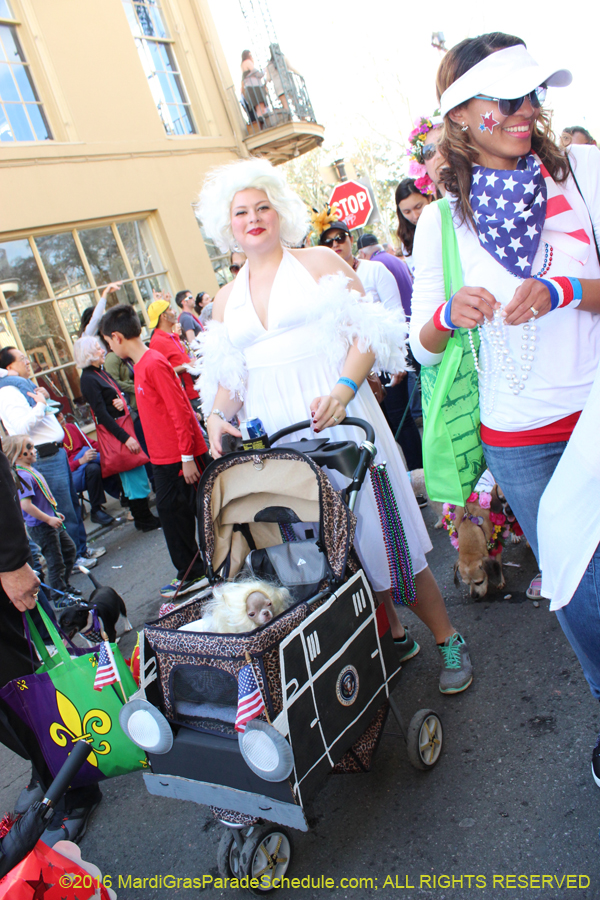 2016-Mystic-Krewe-of-Barkus-hc005469