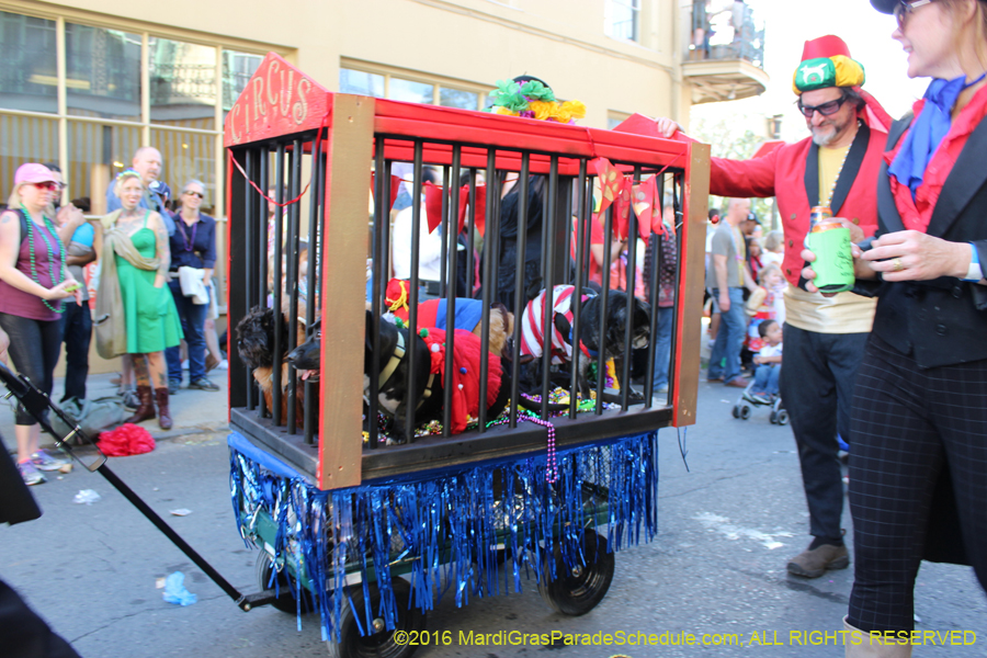 2016-Mystic-Krewe-of-Barkus-hc005476