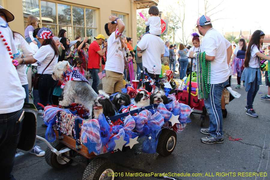 2016-Mystic-Krewe-of-Barkus-hc005477