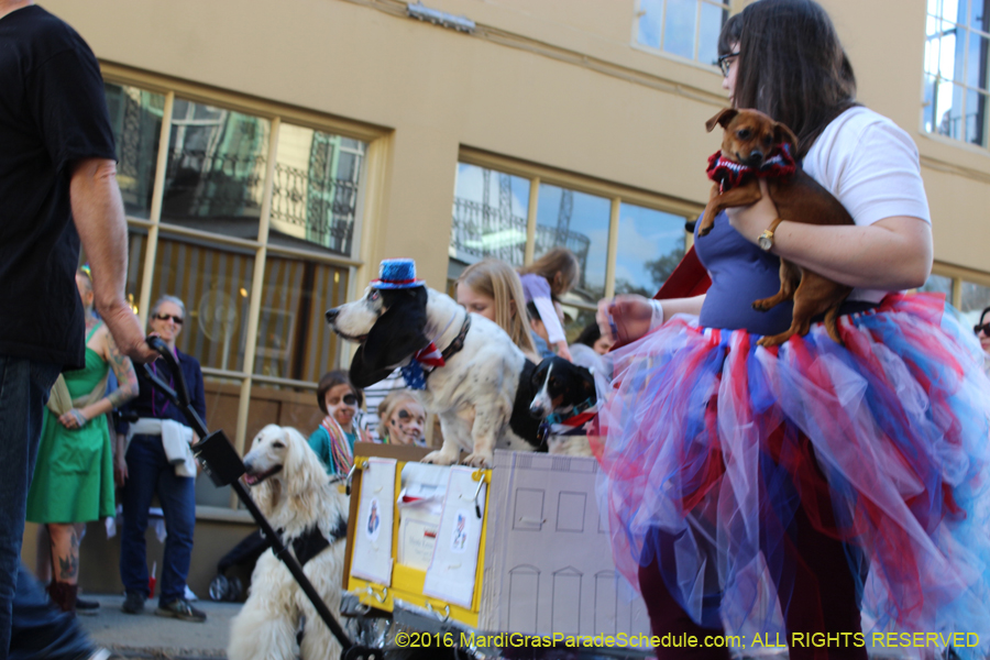 2016-Mystic-Krewe-of-Barkus-hc005478