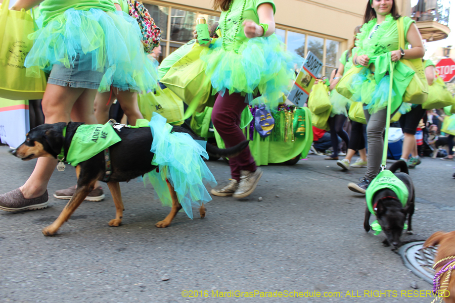 2016-Mystic-Krewe-of-Barkus-hc005480