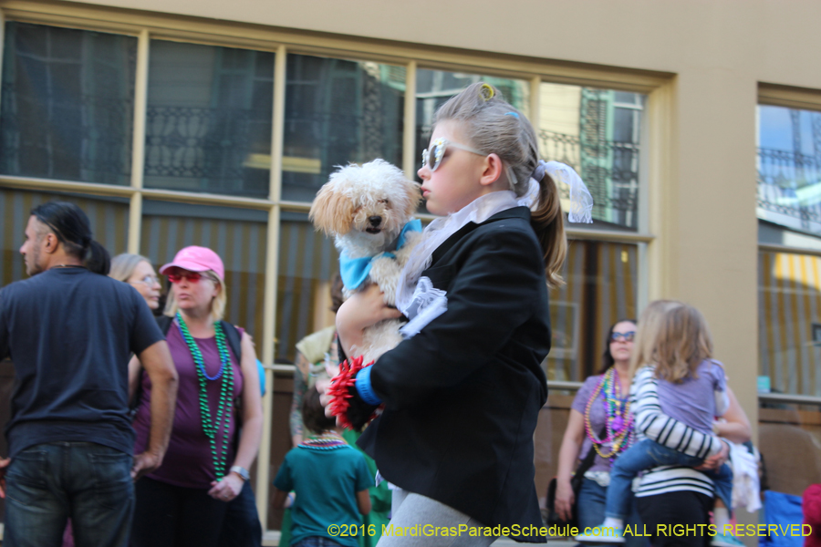 2016-Mystic-Krewe-of-Barkus-hc005482