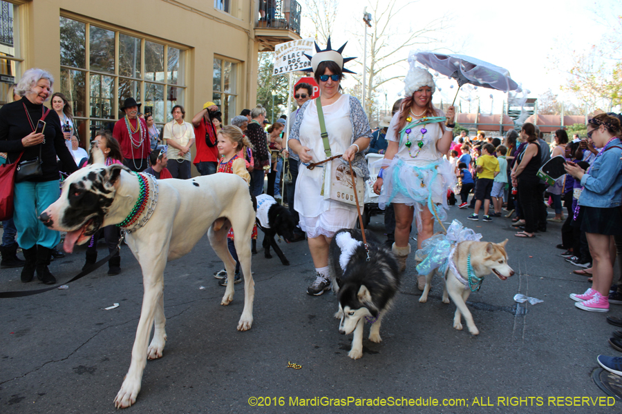 2016-Mystic-Krewe-of-Barkus-hc005498