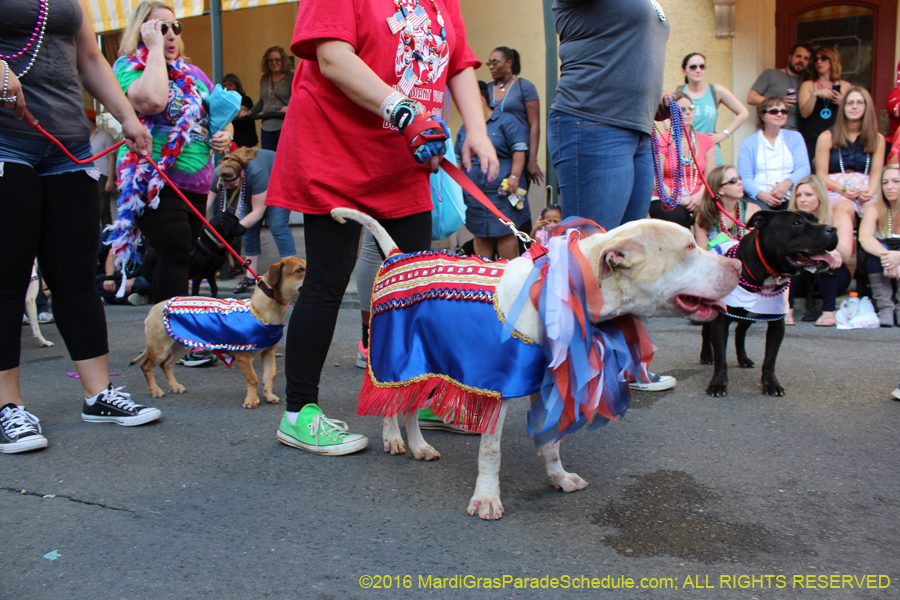 2016-Mystic-Krewe-of-Barkus-hc005505