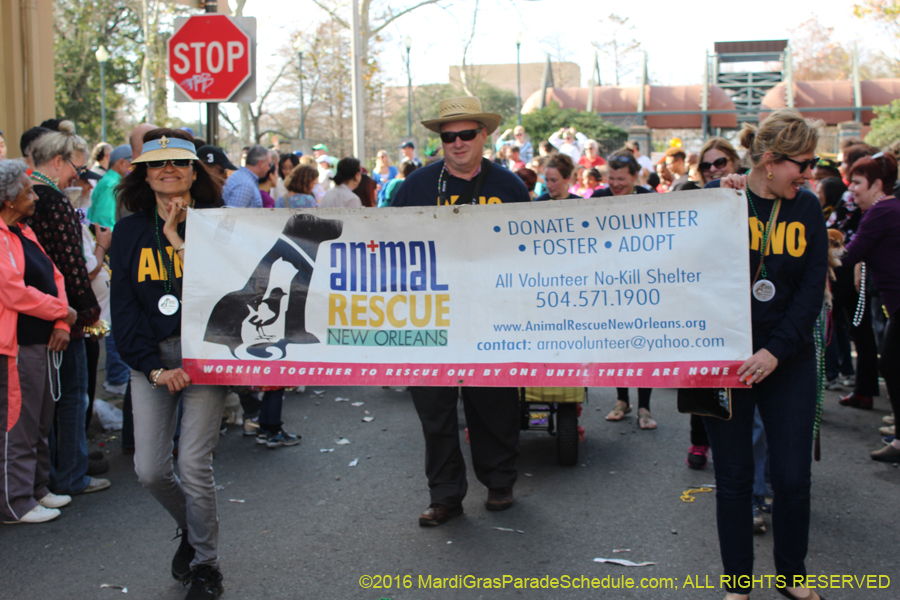 2016-Mystic-Krewe-of-Barkus-hc005508