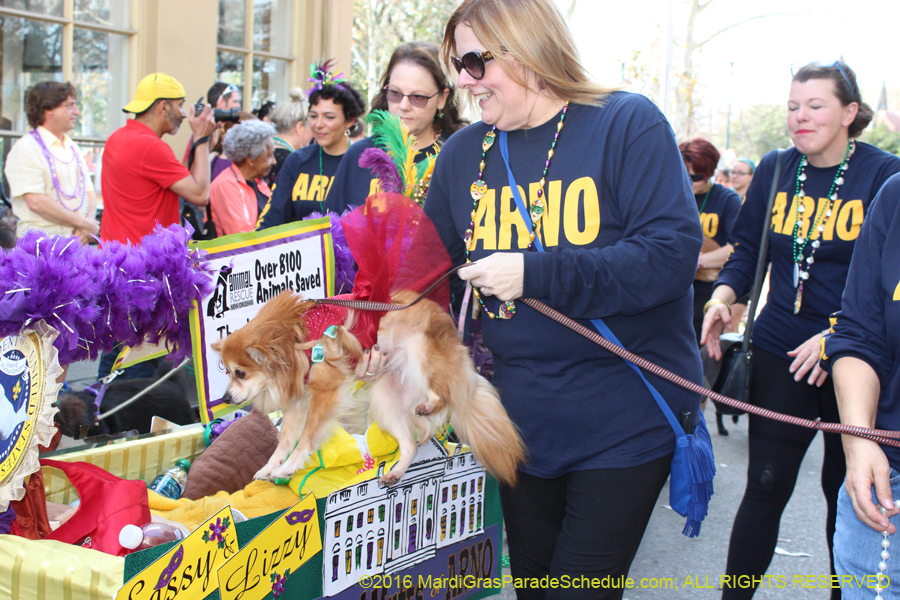 2016-Mystic-Krewe-of-Barkus-hc005509