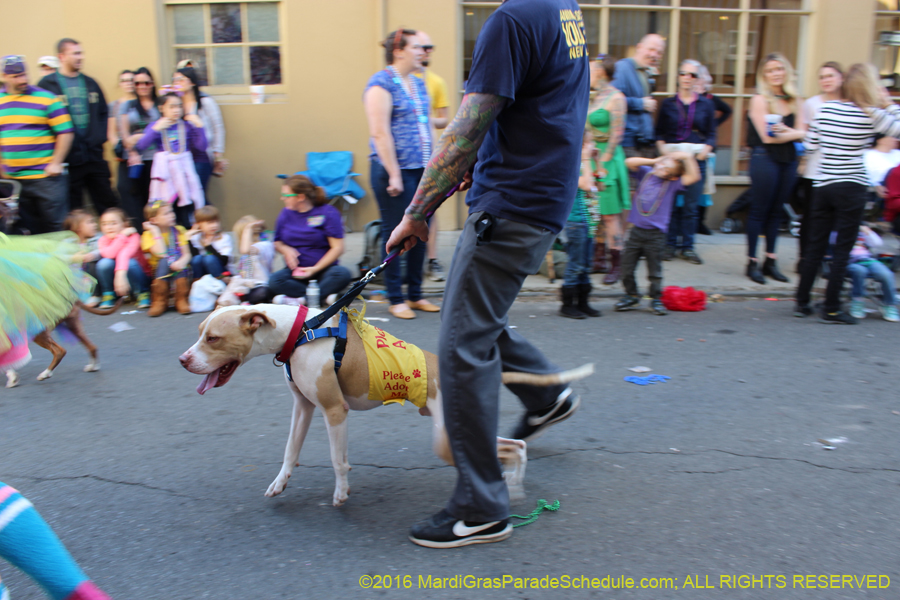 2016-Mystic-Krewe-of-Barkus-hc005517