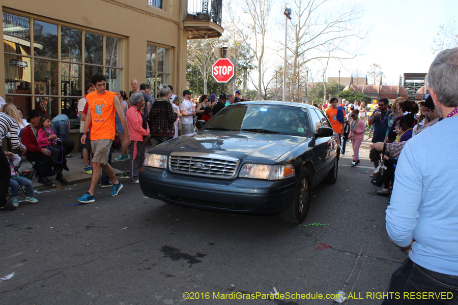 2016-Mystic-Krewe-of-Barkus-hc005518