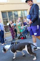 2016-Mystic-Krewe-of-Barkus-hc005488