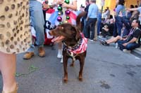 2016-Mystic-Krewe-of-Barkus-hc005494