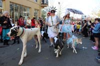 2016-Mystic-Krewe-of-Barkus-hc005498