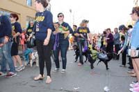 2016-Mystic-Krewe-of-Barkus-hc005510