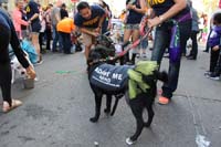 2016-Mystic-Krewe-of-Barkus-hc005512