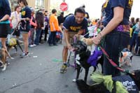 2016-Mystic-Krewe-of-Barkus-hc005513