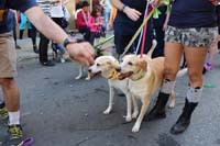 2016-Mystic-Krewe-of-Barkus-hc005514