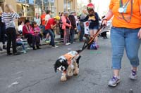 2016-Mystic-Krewe-of-Barkus-hc005516