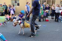 2016-Mystic-Krewe-of-Barkus-hc005517