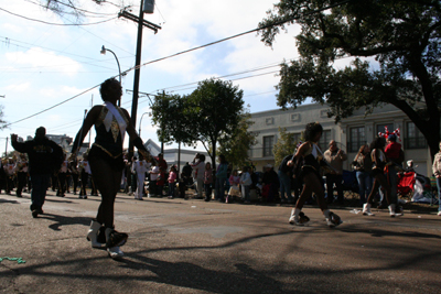 2008-Krewe-of-Carrollton-Mardi-Gras-2008-New-Orleans-0107