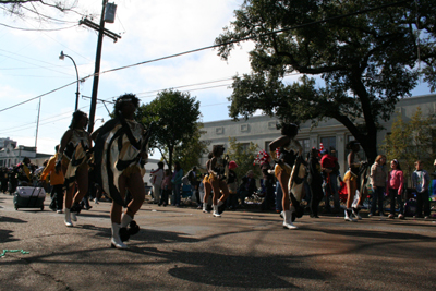 2008-Krewe-of-Carrollton-Mardi-Gras-2008-New-Orleans-0119