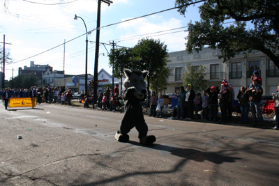 2008-Krewe-of-Carrollton-Mardi-Gras-2008-New-Orleans-0153