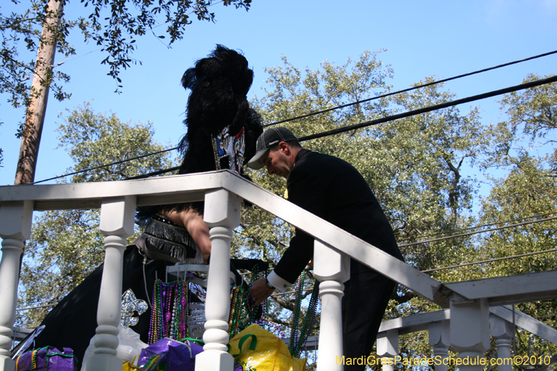 Krewe-of-Carrollton-New-Orleans-Mardi-Gras-4544