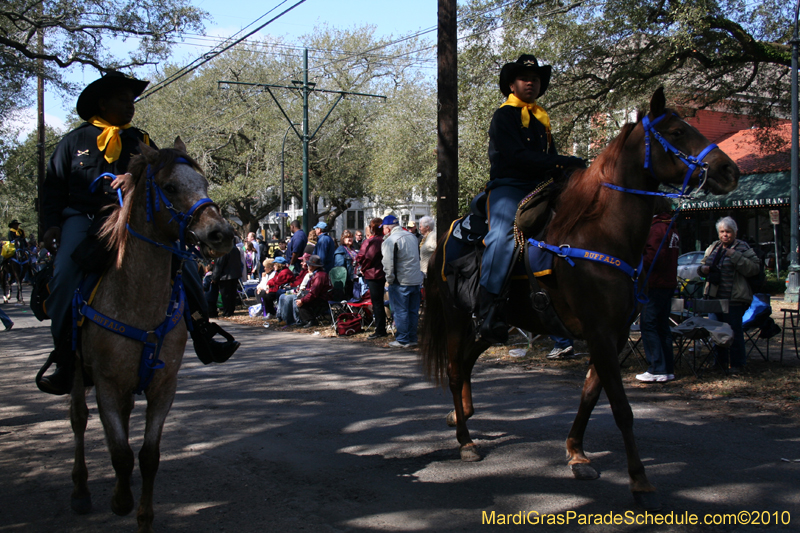 Krewe-of-Carrollton-New-Orleans-Mardi-Gras-4588