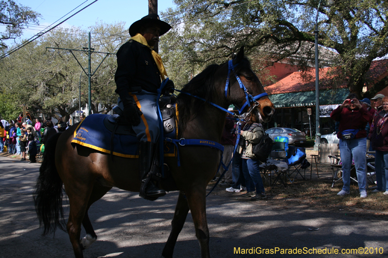 Krewe-of-Carrollton-New-Orleans-Mardi-Gras-4590